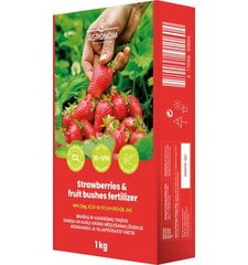 Удобрение для клубники и плодовых кустов, 4 кг цена и информация | Сухие удобрения | hansapost.ee