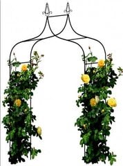 Kaar ronitaimedele Garden Line, 240 cm цена и информация | Подставки для цветов, держатели для вазонов | hansapost.ee