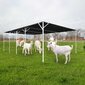 Aiavõrk, 140 g/m2 1.5x25 m hind ja info | Aiad, murupiirded, aiavõrgud | hansapost.ee