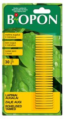 Удобрение в палочках для зеленых растений BIOPON, 30 шт. цена и информация | Сухие удобрения | hansapost.ee