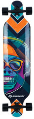 Rula Schildkrot Cool Chimp, 104 cm price and information | Skateboards | hansapost.ee