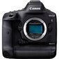 Canon EOS 1D X Mark III цена и информация | Fotoaparaadid | hansapost.ee