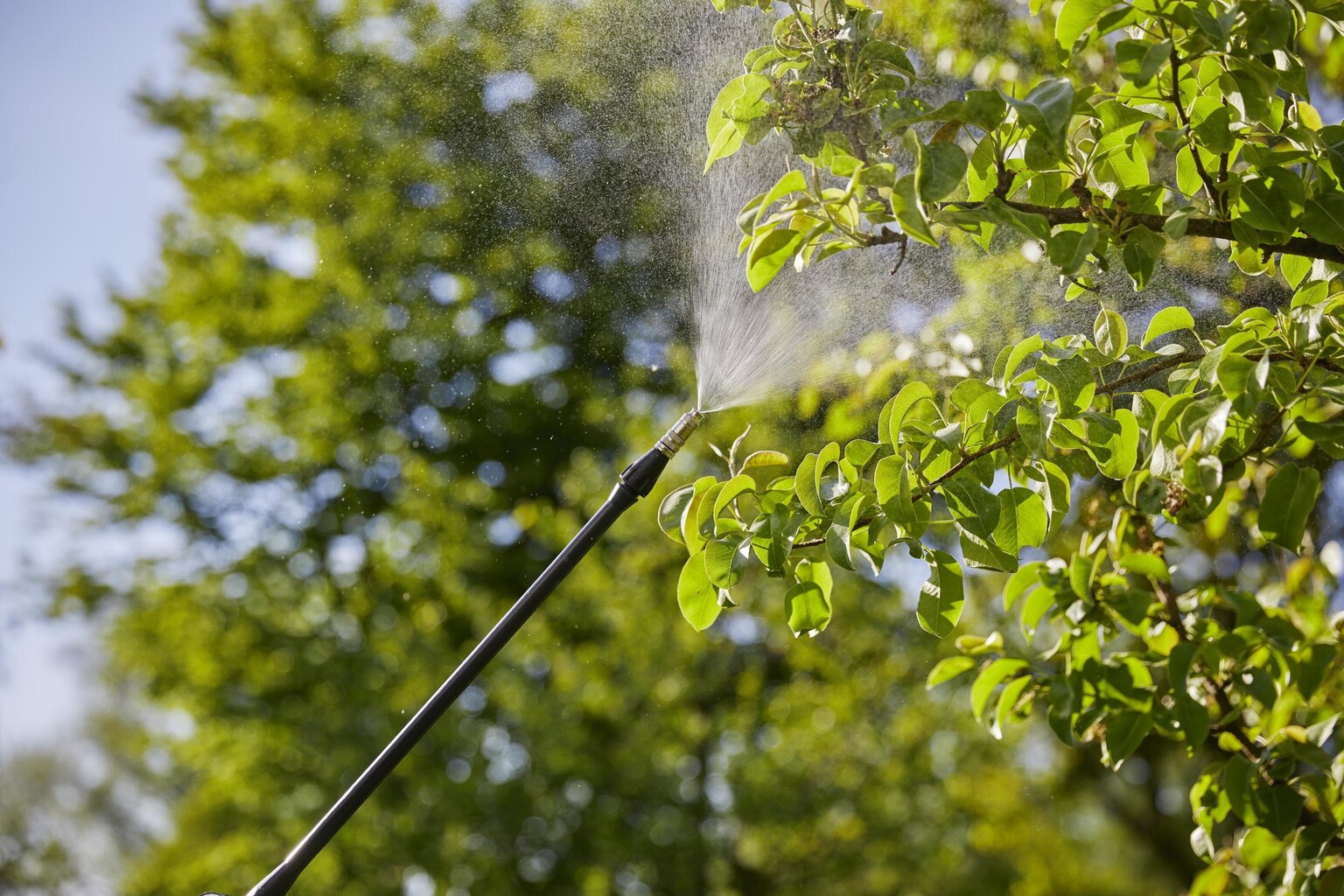 Kaasaskantav pihusti Gardena 11140-20, 12 l hind ja info | Niisutussüsteemid, kastmisvoolikud ja kastekannud | hansapost.ee