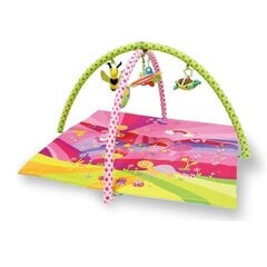 Lorelli развивающий коврик Fairy Tales Pink цена и информация | Развивающие коврики | hansapost.ee