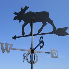 Tuulelipp Moose hind ja info | Aiakujundus ja aiakaunistused | hansapost.ee