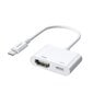 Joyroom Adapter Lightning (Male) to Digital HDMI Adapter (Female) + Lightning (Female) FullHD 1080p 60Hz white (S-H141 white) hind ja info | USB adapterid ja jagajad | hansapost.ee