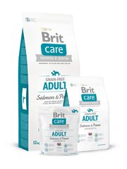 Brit Care Salmon All Breed - Salmon & Potato 3 kg hind ja info | Koerte kuivtoit ja krõbinad | hansapost.ee