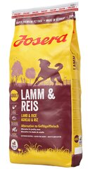Josera erineva aktiivsusega koertele Lamb&Rice, 15 kg цена и информация | Сухой корм для собак | hansapost.ee