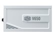 Cooler Master V 650 Gold V2 цена и информация | Toiteplokid | hansapost.ee
