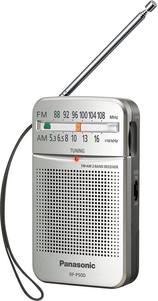 Panasonic RFP50DEGS цена и информация | Raadiod ja äratuskellad | hansapost.ee