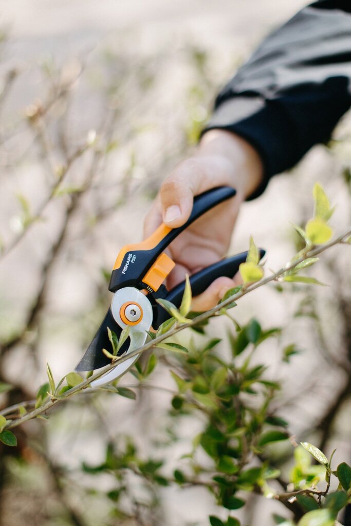 Lõikurid Fiskars Solid M P321 цена и информация | Aiatööriistad | hansapost.ee