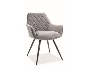 Комплект из 2-х стульев Signal Meble Linea, серый цена и информация | Стулья для кухни и столовой | hansapost.ee