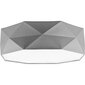 Laevalgusti TK Lighting Kantoor Gray hind ja info | Laelambid | hansapost.ee