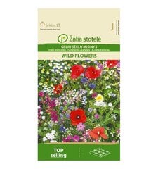 Lillesegu Wild Flowers Žalia stotelė 10,0 g цена и информация | Семена цветов | hansapost.ee