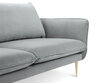 Pehme mööbli komplekt Cosmopolitan Design Florence, helehall цена и информация | Pehme mööbli komplektid | hansapost.ee