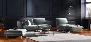 Pehme mööbli komplekt Cosmopolitan Design Florence, helehall hind ja info | Pehme mööbli komplektid | hansapost.ee