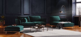Pehme mööbli komplekt Cosmopolitan Design Florence, tumeroheline hind ja info | Pehme mööbli komplektid | hansapost.ee