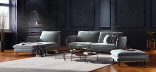 Pehme mööbli komplekt Cosmopolitan Design Vienna, helehall цена и информация | Комплекты мягкой мебели | hansapost.ee