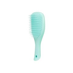 Расческа Tangle Teezer Mini Wet Detangler, Sea Green цена и информация | Расчески, щетки для волос, ножницы | hansapost.ee