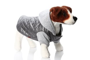 Amiplay куртка Boston, XL, серый​ цена и информация | Одежда для собак | hansapost.ee