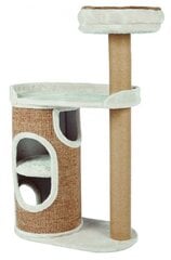 Kraapimispost Trixie Falco, 117 cm price and information | Cat climbing trees | hansapost.ee