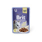 Konserv kassidele Brit Premium Cat Delicate Beef in Jelly 85g x 24 tk цена и информация | Kassikonservid | hansapost.ee
