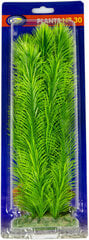 Aqua Nova plastikust taim 30cm hind ja info | Akvaariumi dekoratsioonid | hansapost.ee