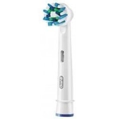 Braun Oral-B CrossAction EB50-2 цена и информация | Насадки для электрических зубных щеток | hansapost.ee