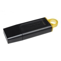 Kingston DTX/128GB цена и информация | USB накопители | hansapost.ee