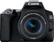 Canon EOS 250D + 18-55mm IS STM Kit, must цена и информация | Fotoaparaadid | hansapost.ee