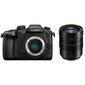 Panasonic Lumix G DC-GH5S + 12-60mm(H-ES12060), black price and information | Fotoaparaadid | hansapost.ee