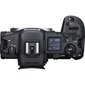 Canon EOS R5 + RF 24-105mm f/4L IS USM + Mount Adapter EF-EOS R hind ja info | Fotoaparaadid | hansapost.ee