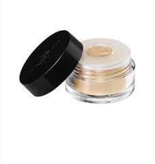 Рассыпчатые тени для глаз Make up for Ever Star Lit Powder 1,4 г, Ivory цена и информация | Тушь, средства для роста ресниц, тени для век, карандаши для глаз | hansapost.ee