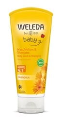 Weleda Calendula Baby Shampoo 200 ml hind ja info | Laste ja ema kosmeetika | hansapost.ee