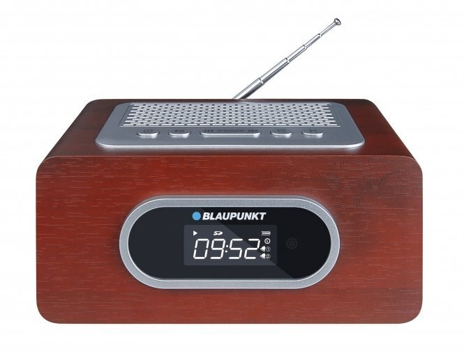 Blaupunkt PP6BR FM/MP3/MICROSD/AUX hind ja info | Kõlarid | hansapost.ee