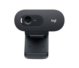 LogiTech C505e цена и информация | Компьютерные (Веб) камеры | hansapost.ee