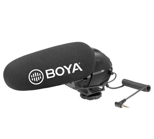 Boya BY-BM3031 цена и информация | Fotoaparaatide lisatarvikud | hansapost.ee