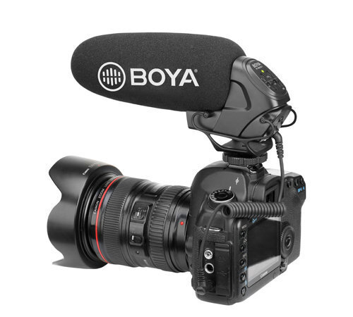 Boya BY-BM3031 hind ja info | Fotoaparaatide lisatarvikud | hansapost.ee