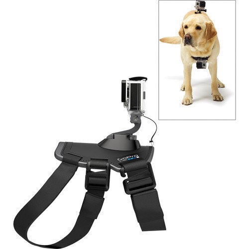 GoPro Fetch ADOGM-001 hind ja info | Lisatarvikud videokaameratele | hansapost.ee