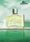 Lacoste Essential EDT meestele 125 ml hind ja info | Parfüümid meestele | hansapost.ee