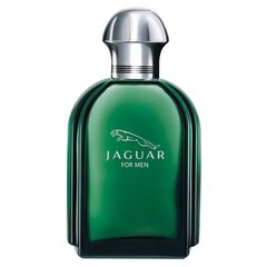 Jaguar Jaguar EDT meestele 100 ml hind ja info | Parfüümid meestele | hansapost.ee