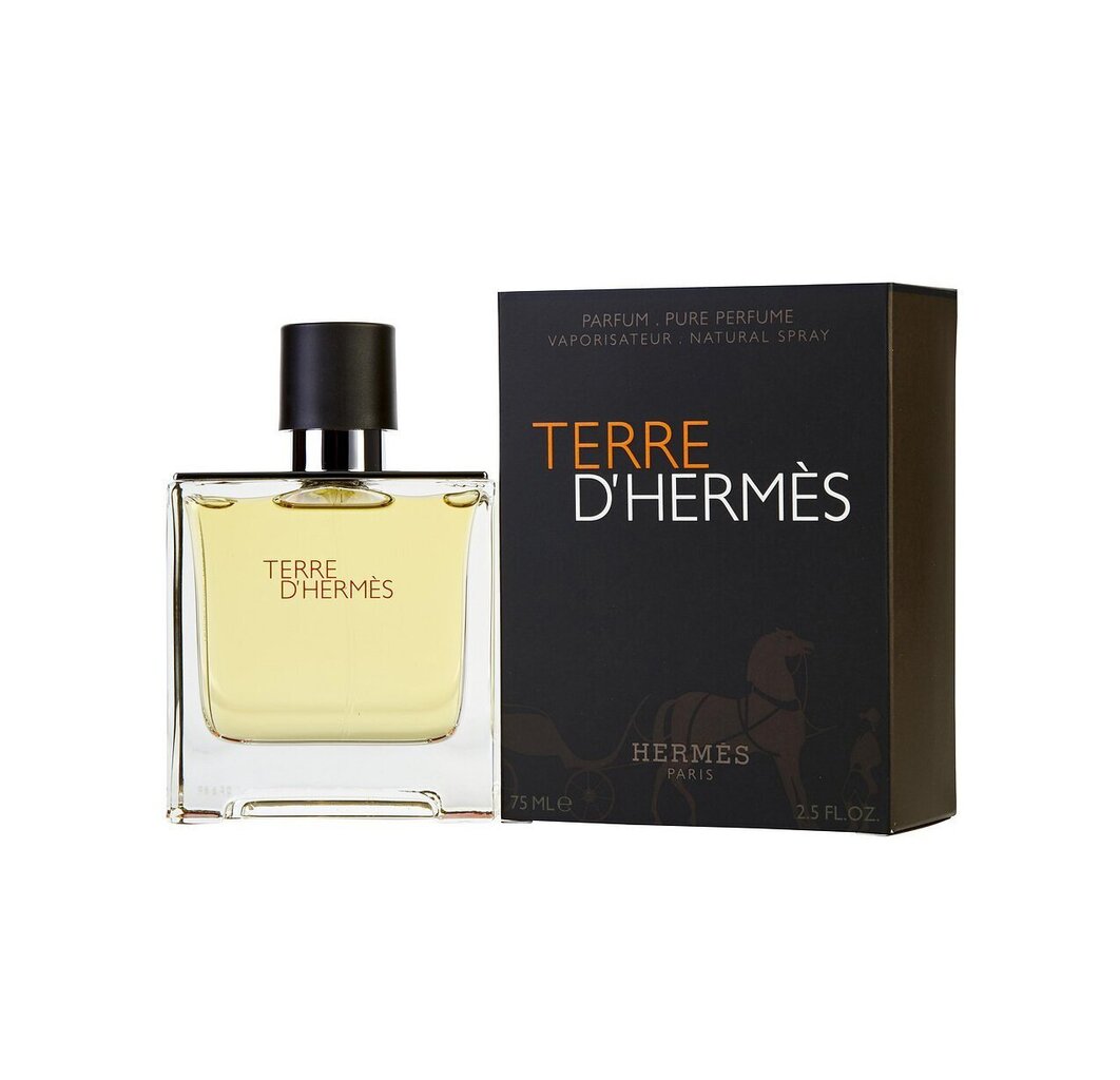 Hermes Terre D'Hermes EDP meestele 75 ml цена и информация | Parfüümid meestele | hansapost.ee