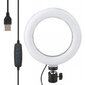 Ring LED -lamp Platinet blogijatele PMRL6 цена и информация | Fotovalgustid, ringvalgustid ja fotostuudiod | hansapost.ee