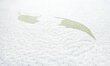 Sensillo beebimadrats lateks-poroloon-kookos 120 x 60 x 12 cm hind ja info | Madratsid | hansapost.ee
