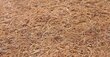 Sensillo beebimadrats lateks-poroloon-kookos 120 x 60 x 12 cm цена и информация | Madratsid | hansapost.ee