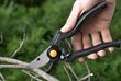 Oksakäärid Fiskars PRO P90 цена и информация | Aiatööriistad | hansapost.ee