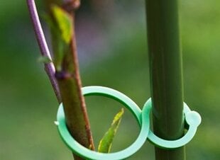 Taimekinnitus rõngas, 50 tk цена и информация | Садовые инструменты | hansapost.ee