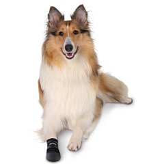 Защитные ботинки для собак Trixie Walker Care, M, 2 шт. цена и информация | Одежда для собак | hansapost.ee