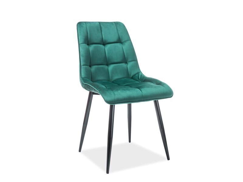 4 tooli komplekt Signal Meble Chic, roheline/must hind ja info | Köögitoolid, söögitoolid | hansapost.ee