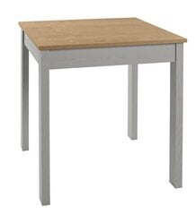 Стол Bryk Mini, коричневый/серый цена и информация | Кухонные и обеденные столы | hansapost.ee